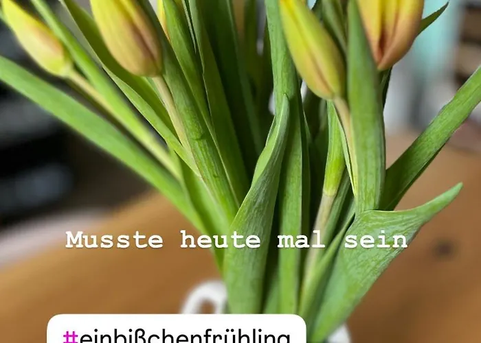 Bilderbuchcafe - Ferien No 5 - Markt 7 Daire Havelberg